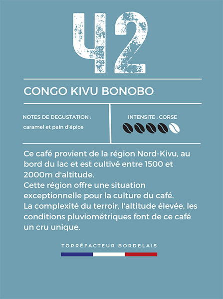 café congo kivu bonobo 42
