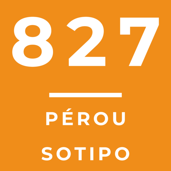 827 - PÉROU SOTIPO