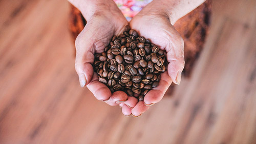 torréfaction artisanale les cafés du phare