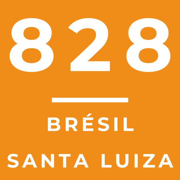 828 - BRÉSIL SANTA LUIZA