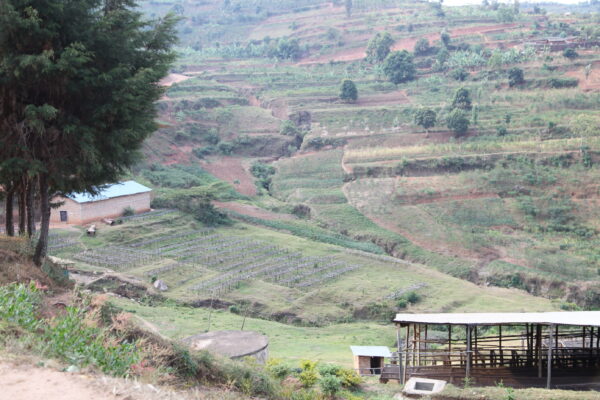 46 - RWANDA GATARE – Image 4